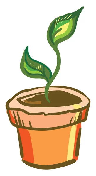 Planta em vaso laranja, vetor ou ilustração colorida . — Vetor de Stock