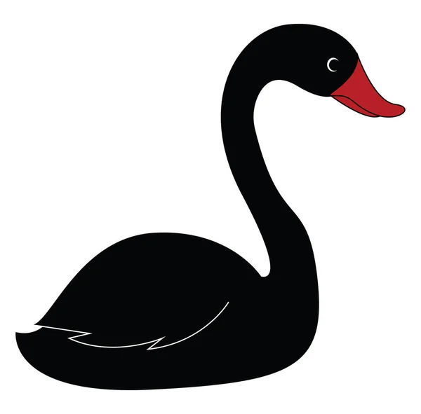 Beautiful black swan, illustration, vector on white background. — Stock Vector