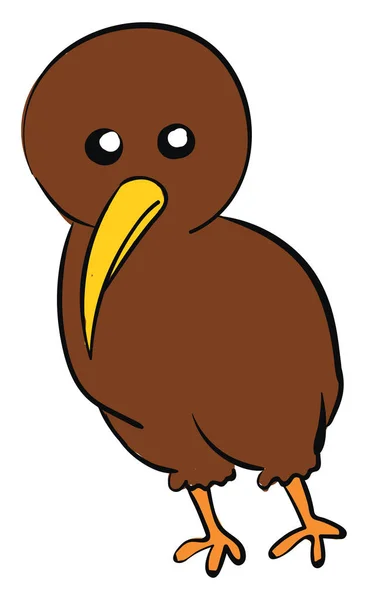 Cute brown kiwi, illustration, vector on white background. — Stock Vector