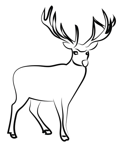 Deer sketch, illustration, vector on white background. — Stock Vector