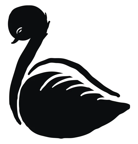 Black swan sketch, illustration, vector on white background. — Stock Vector