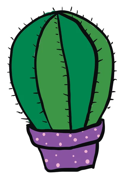 Cactus en maceta, ilustración, vector sobre fondo blanco. — Vector de stock