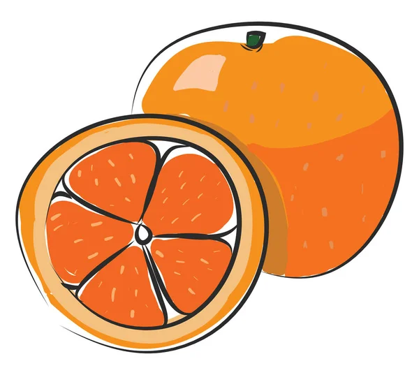 おいしいオレンジ、ベクトルまたはカラーイラスト. — ストックベクタ