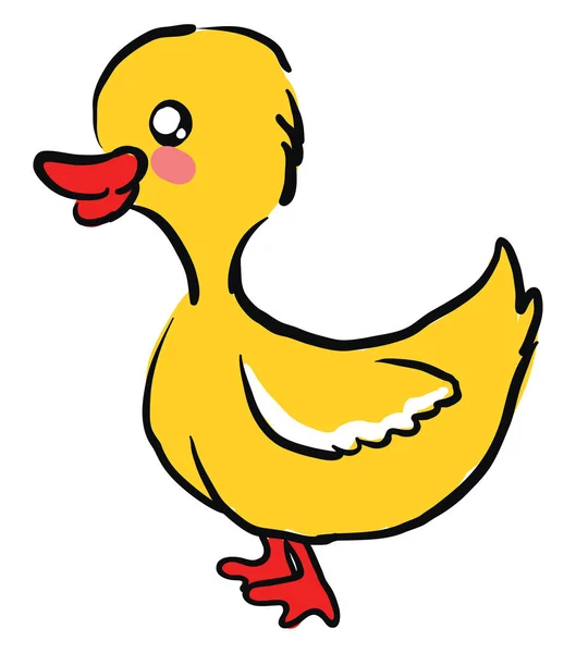 Cute little duck, illustration, vector on white background. — Stock Vector