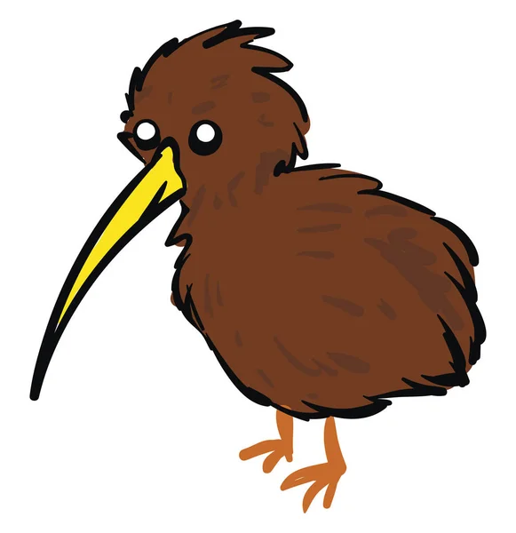 茶色のキウイの鳥、イラスト、白い背景のベクトル. — ストックベクタ