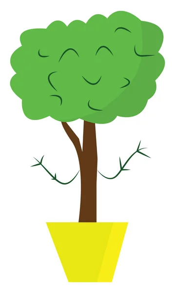 Árbol en una maceta, vector o ilustración en color . — Vector de stock