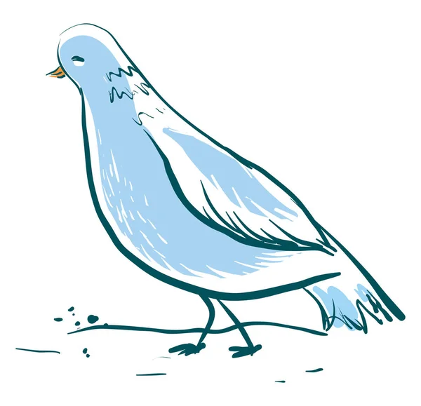Mooie blauwe duif, illustratie, vector op witte achtergrond. — Stockvector