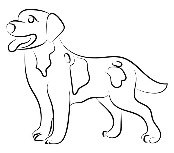 Hundeskizze, Illustration, Vektor auf weißem Hintergrund. — Stockvektor