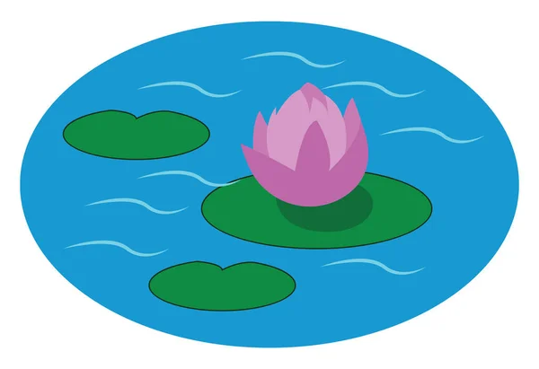 Purple water lily, vector or color illustration. — Stock Vector