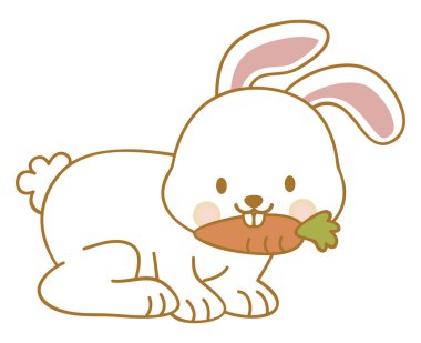 Bunny beyaz arka plan üzerinde bir havuç, illüstrasyon, vektör yeme.