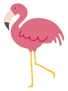 Flamingo ayakta, illüstrasyon, beyaz arka plan vektör.