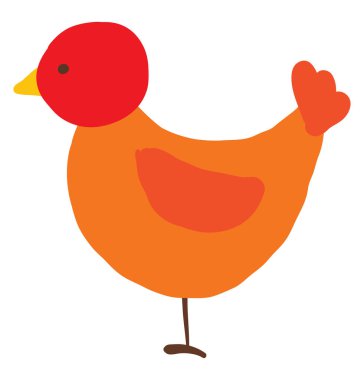 Turuncu tavuk, illüstrasyon, beyaz arka plan vektör.