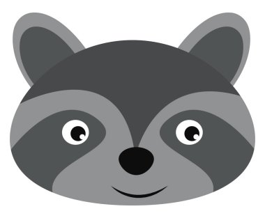 Sevimli gümüş rakun, illüstrasyon, beyaz arka plan vektör.