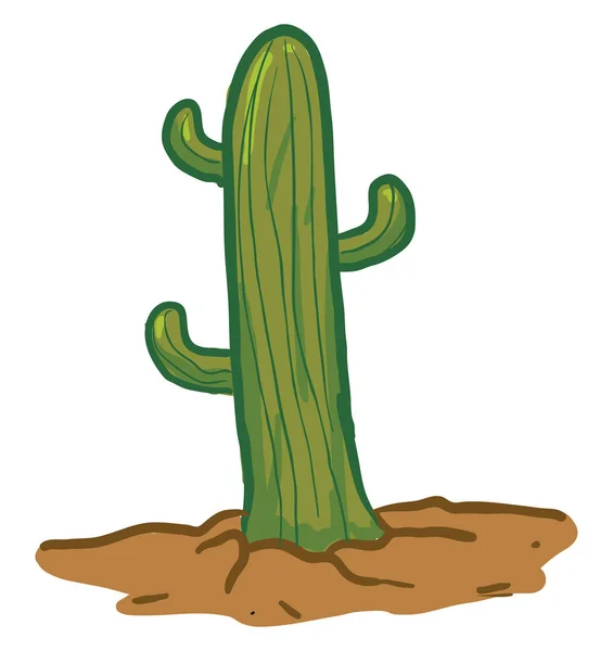 Kaktus tumbuh di tanah, ilustrasi, vektor pada latar belakang putih - Stok Vektor