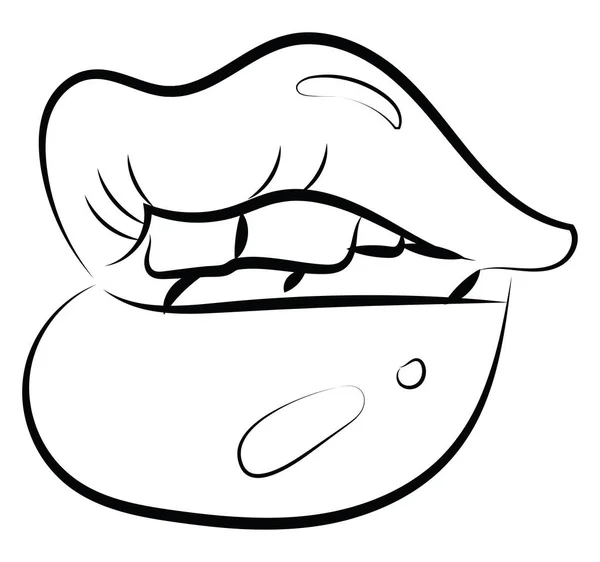 Boceto de labios, ilustración, vector sobre fondo blanco . — Vector de stock