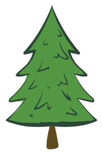 Green spruce, illustration, vector on white background. — Stock Vector