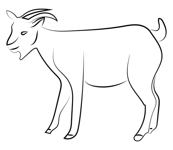 Goat sketch, illustration, vector on white background. — Stock Vector