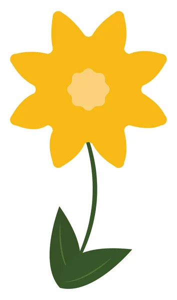 Flor amarilla, ilustración, vector sobre fondo blanco. — Archivo Imágenes Vectoriales