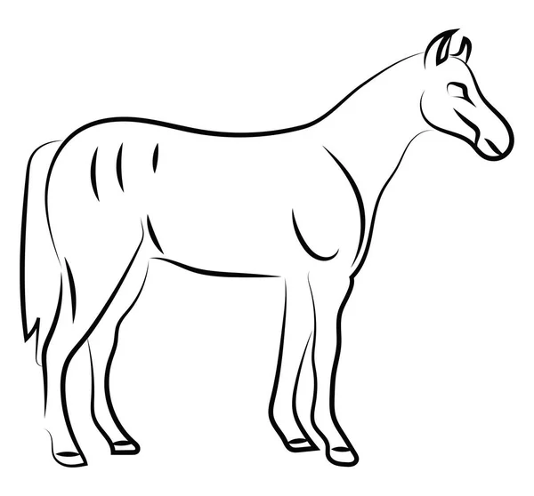Náčrt koně, ilustrace, vektor na bílém pozadí. — Stockový vektor