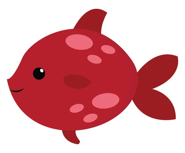 Cute red fish, illustration, vector on white background. — Stock Vector
