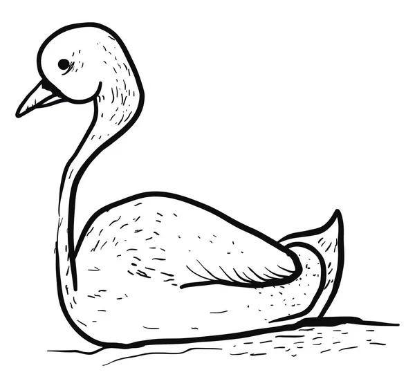 Desenho de cisne, ilustração, vetor sobre fundo branco . — Vetor de Stock