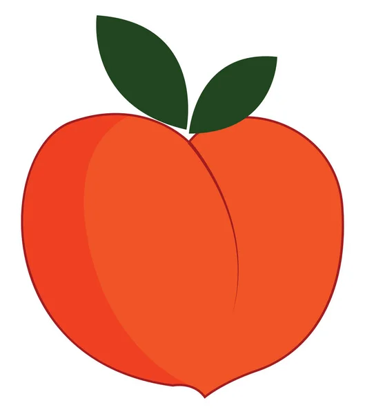 Stor persika, illustration, vektor på vit bakgrund. — Stock vektor