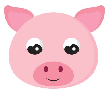 Şirin küçük domuz, illüstrasyon, beyaz arka planda vektör..