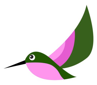 Küçük sinekkuşu, illüstrasyon, beyaz arka plan vektör