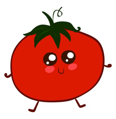 Sevimli tomatto, illüstrasyon, beyaz arka plan vektör.