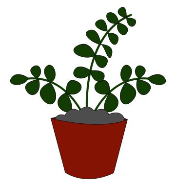 Kırmızı saksı, illüstrasyon, beyaz arka plan üzerinde vektör ev bitki