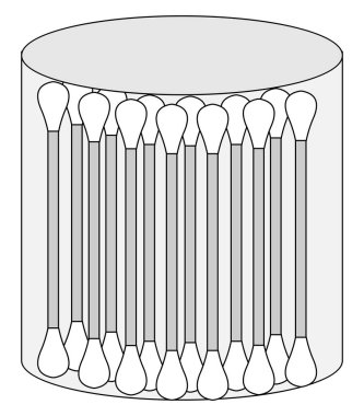 Pamuk tomurcukları kutusu, illüstrasyon, beyaz arka plan vektör.
