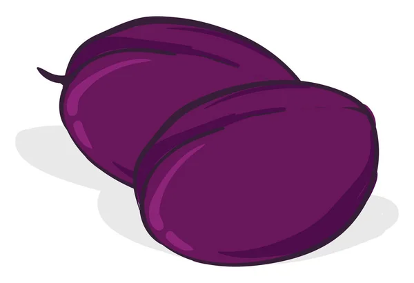 Violet katrinplommon, illustration, vektor på vit bakgrund. — Stock vektor
