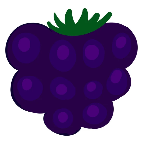 Tasty blackberry, illustration, vector on white background. — Stock Vector