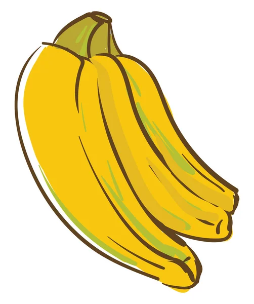 Hanging bananas, illustration, vector on white background. — Stock Vector
