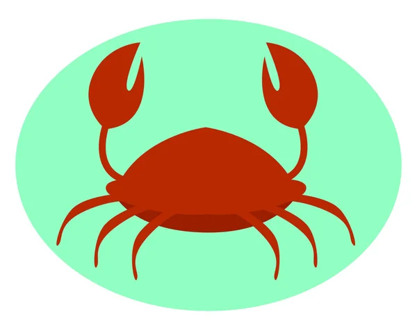 Cangrejo rojo, ilustración, vector sobre fondo blanco. — Vector de stock