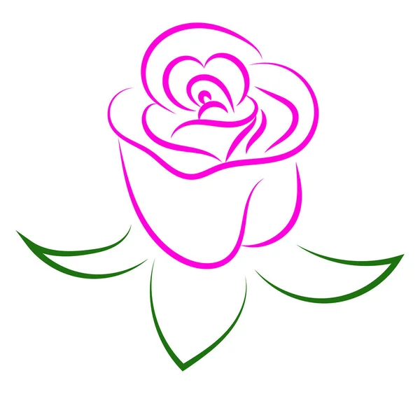Rosa ros ritning, illustration, vektor på vit bakgrund — Stock vektor