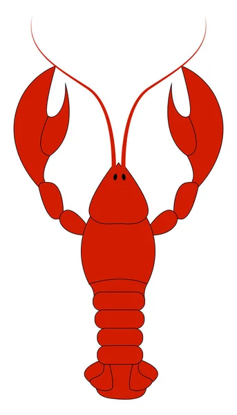 Homard rouge, illustration, vecteur sur fond blanc . — Image vectorielle