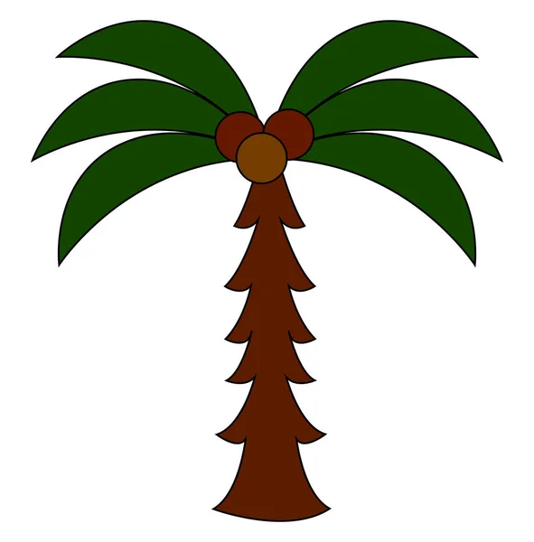 Palmboom, illustratie, vector op witte achtergrond — Stockvector