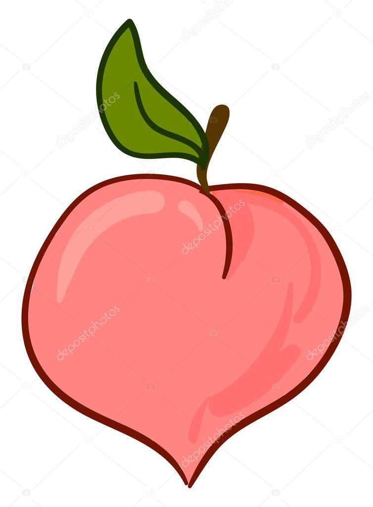 Delicious pink peach, illustration, vector on white background.