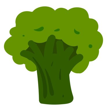 Yeşil brokoli, illüstrasyon, beyaz arkaplanda vektör.