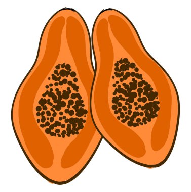 Papaya parçaları, illüstrasyon, beyaz arka plan vektör