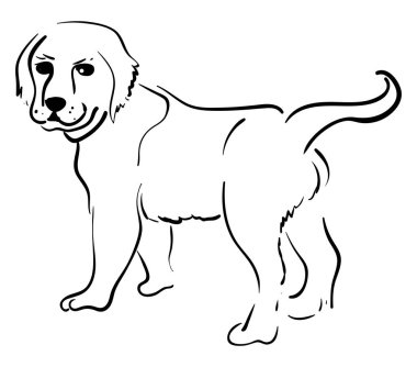 Beyaz arka planda köpek çizimi, illüstrasyon, vektör
