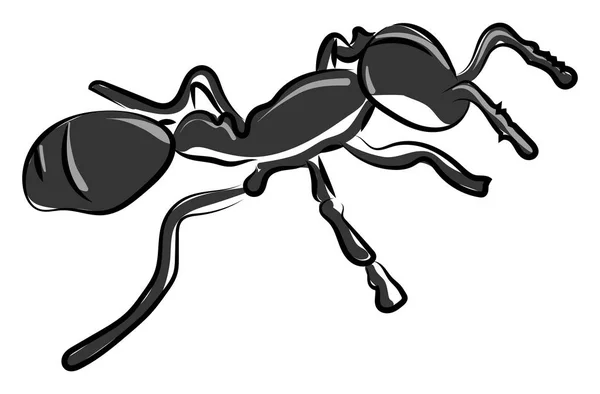 Black little ant, illustration, vector on white background. — Stock Vector