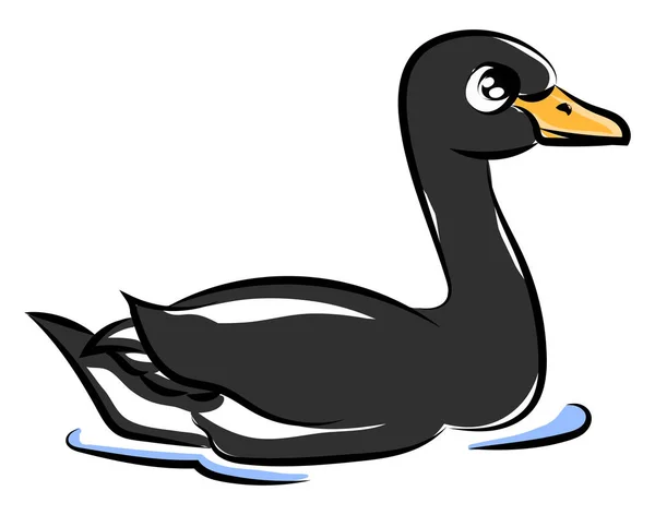 Cute black swan, illustration, vector on white background. — Stock Vector