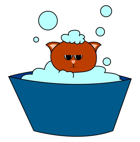 Cat a fürdés, illusztráció, vektor fehér alapon. — Stock Vector