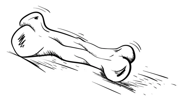 Desenho de osso grande, ilustração, vetor sobre fundo branco — Vetor de Stock