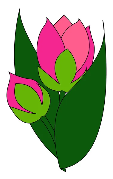 Rosa knopp, illustration, vektor på vit bakgrund. — Stock vektor