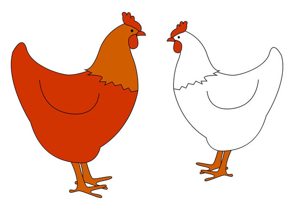 Red and white chicken, illustration, vector on white background.