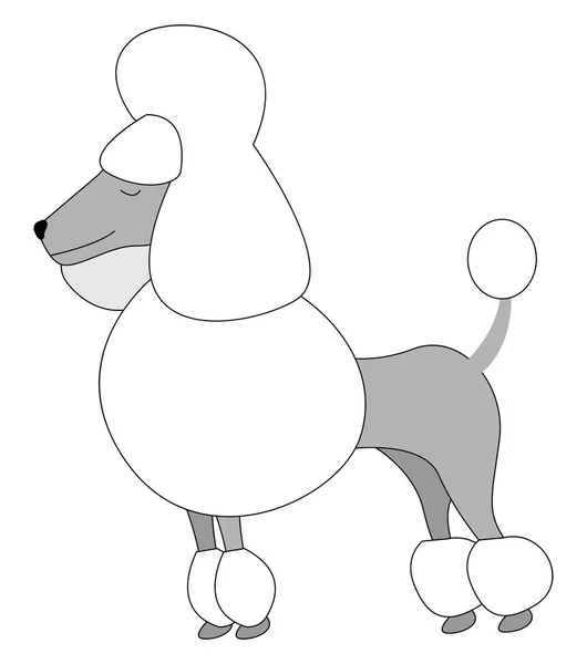 Königlicher Pudelhund, Illustration, Vektor auf weißem Hintergrund. — Stockvektor