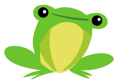 Mutlu kurbağa, illüstrasyon, beyaz arka plan vektör.